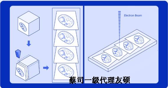 武威蔡司武威扫描电镜